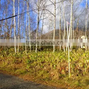 Ski Resort , Winter Resort , Condominiums and Hotels , Land for Sale thumbnail-2