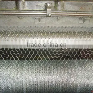 HEXAGONAL WIRE NETTING,galvanized or Plastic Coated thumbnail-2
