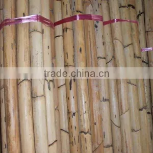 Manau Cane, Manau, Manao, Rattan Pole, Pole, Rattan, Cane, Rattan Cane, Cricket Cane, Singapore Cane, Manao Cane, Manao Pole thumbnail-1
