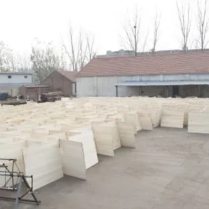 Dongming Sanxin Wood Industry Co.,Ltd company overview - view 4 thumbnail