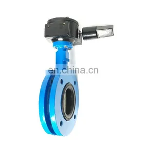 BS JIS ASMI Double Flange Butterfly Valve thumbnail-5