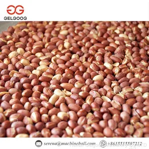 Electric Nut Roasting Machine Nut Roasting Equipment Cashew Nut Roasting Machine Price thumbnail-1