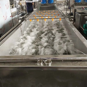 Vegetable Washing Machine Price Industrial Vegetable Washer Automatic Fruit Washing Machine thumbnail-1