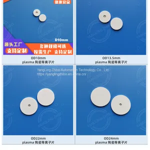 Plasma Ceramic Plasma Generator, Cosmetic Instrument Plasma Discharge Ceramic Plate, Multiple Options Can Also be OEM or ODM as Required thumbnail-1