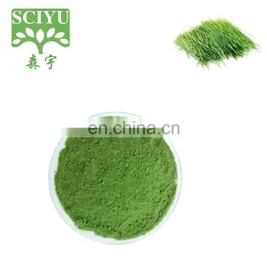 Pure Wheat Grass Powder, Wheat Grass Extract Powder, Wheatgrass Powder thumbnail-1