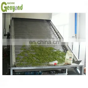 Dried Kiwi Chips Processing Line thumbnail-2