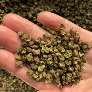 Natural New Seasoning Dried Green Pepper Mass Sales Chinese Herb Spices by Sichuan Factory thumbnail-1