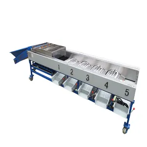 Vegetable Sorting Machine for Sale for Onion & Olive Sorting With Core PLC Components thumbnail-3