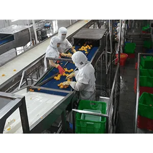 Industrial Canned Cherry Apple Production Processing Full Automatic Line thumbnail-4