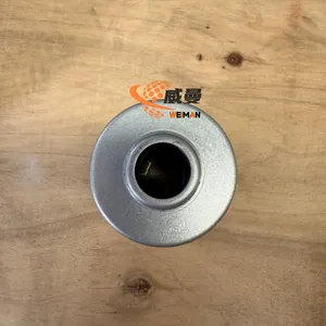 Sany Pilotl Filter Element GLQ009244827 für Sany SR235 Rotary Drilling Rig thumbnail-2