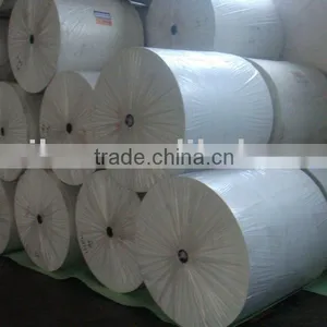 Polyester Nonwoven Felt for Waterproof Membrane thumbnail-1