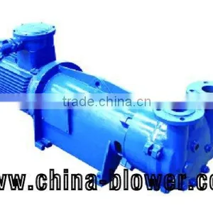 2BV2071 Water Ring Vacuum Pump thumbnail-2