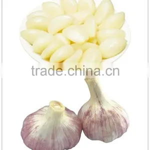 High Quality 2016 Fresh Garlic New Crop Chinese Fresh Garlic thumbnail-1