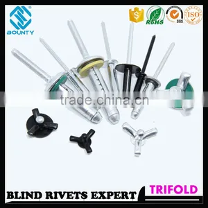 HIGH QUALITY FACTORY BLACK OXIDATION COLOR LSR/LS RIVETS FOR GLASS CURTAIN WALL thumbnail-4