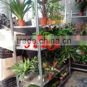 Display Garden Flower Cart for Sale Hand Cart Plywood Flower Garden Cart TC020 Danish Trolley Hand Trucks for Sale thumbnail-1