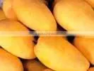 Chaunsa Mango From Pakistan thumbnail-1