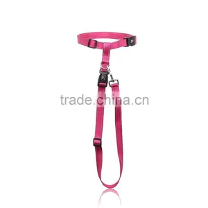 Custom Print Logo Dog Leash Retractable thumbnail-3