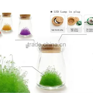 DIY Novelty Gift Magic Growing Wishing Crystal Flower thumbnail-1