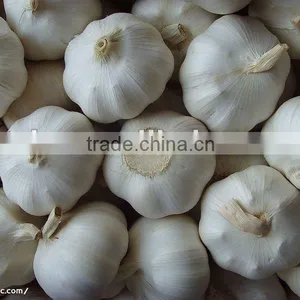 2014 Chinese Garlic Exporting thumbnail-1