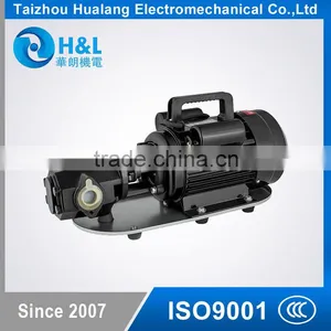 WCB Small Double Gear Pump Portable Oil Pump Electric Diesel Transfer Pump thumbnail-1