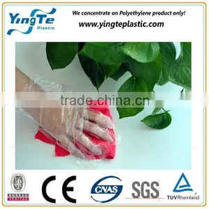 2015 Canton Fair Hot Sale Clean Hand Gloves thumbnail-2