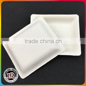 Biodegradable Bagasse Pulp Dessert Tray thumbnail-3