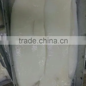 Giant Squid Fillet thumbnail-2