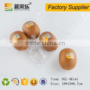 Clear Plastic Container for 4 Pcs Kiwis thumbnail-4
