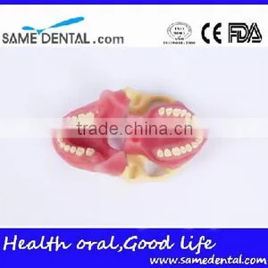 NISSIN Anesthesia Extraction Model School Teaching Demonstration thumbnail-4