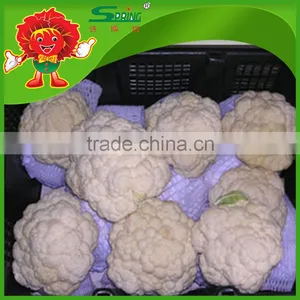 Organic Green Vegetables Fresh Cauliflower From Yunnan thumbnail-2