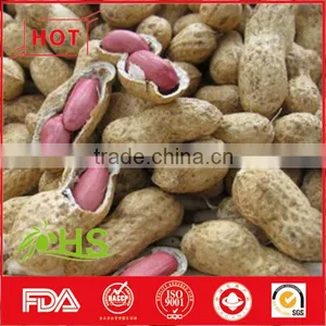 Blanched Peanut Kernel/Peanuts in Red Shell/Peanut Kernels thumbnail-1