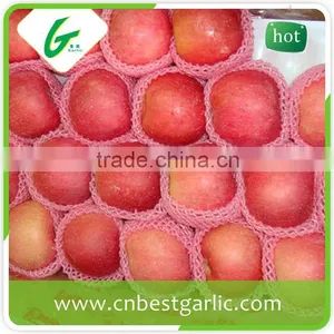 Fresh Fuji Apple With Good Quality thumbnail-3