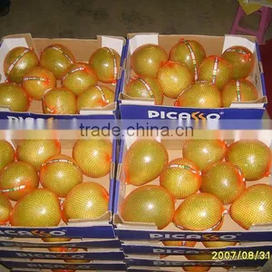 Chinese Fresh Sweet Honey Pomelo for Selling thumbnail-3