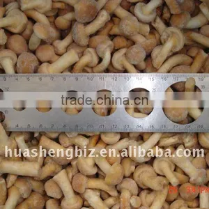 Fresh IQF Pholiota Nameko thumbnail-1