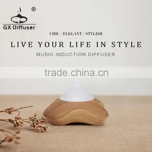 GX Diffuser Light Wood Electric Aroma Diffuser With Sound Diffuser thumbnail-2