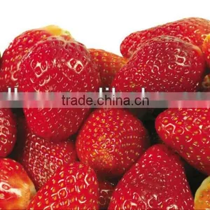 Frozen Strawberry thumbnail-4