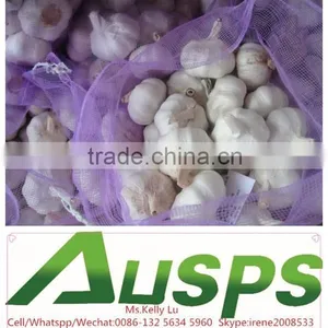 Fresh Dry Garlic thumbnail-3