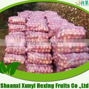 TOP SELLING!! Cheap Prices 2015 Qinguan Apple With Good Price thumbnail-1