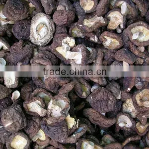 Xianggu Mushroom/dried Mushroom thumbnail-1