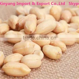 kk Peanuts/blanched Peanut Kernel in Long Shape/shandong Blanched Peanut 25/29 thumbnail-1