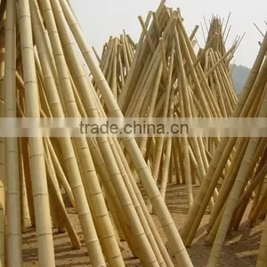 Construction Building Material Bamboo thumbnail-1