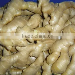 Fresh Air Dried Ginger thumbnail-4