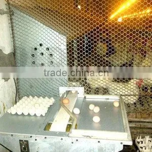 Goldenest Automatic Egg Collection System Chicken Nesting Boxes Factory Price JCJ15-A02 thumbnail-1