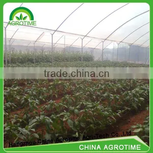 Multi-span Greenhouse Low Cost Greenhouse Agricola for Africa thumbnail-1