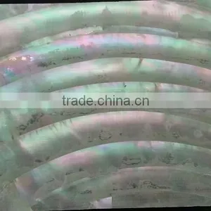 Natural Curve Pattern Turbo Marmoratus Shell Laminates thumbnail-1