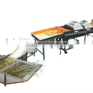 FS-QXDL Fruit Cleaning Machine thumbnail-1