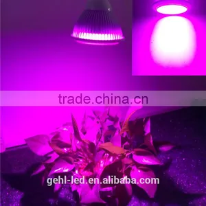 Low Price Aaa Quality High Power Hello Led Growing Light From Shenzhen Factory thumbnail-1