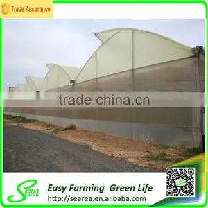 Multi-span Open Roof Green Houses thumbnail-3