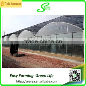 Middle East Greenhouse for Sale thumbnail-1