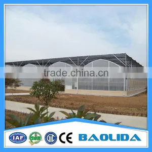 Factory Price Galvanized Steel Frame Agricultural Plastic Green House thumbnail-4